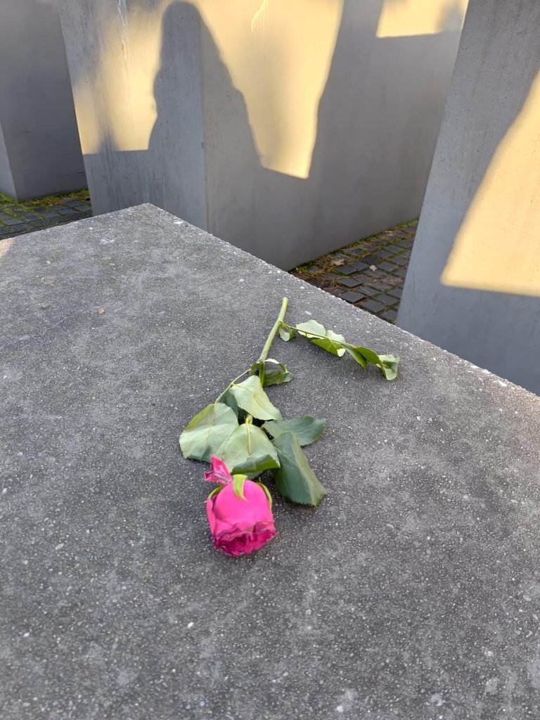 flower in the Memorial of holocaust