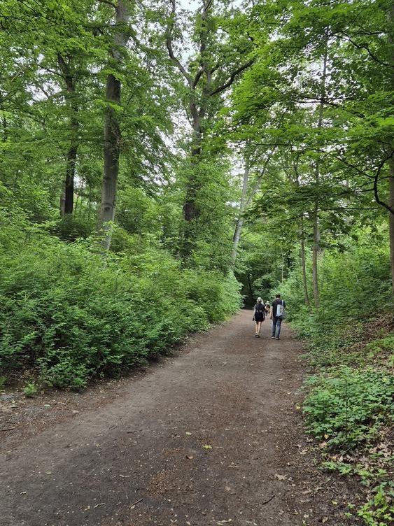 Nice walk path in Grunewald