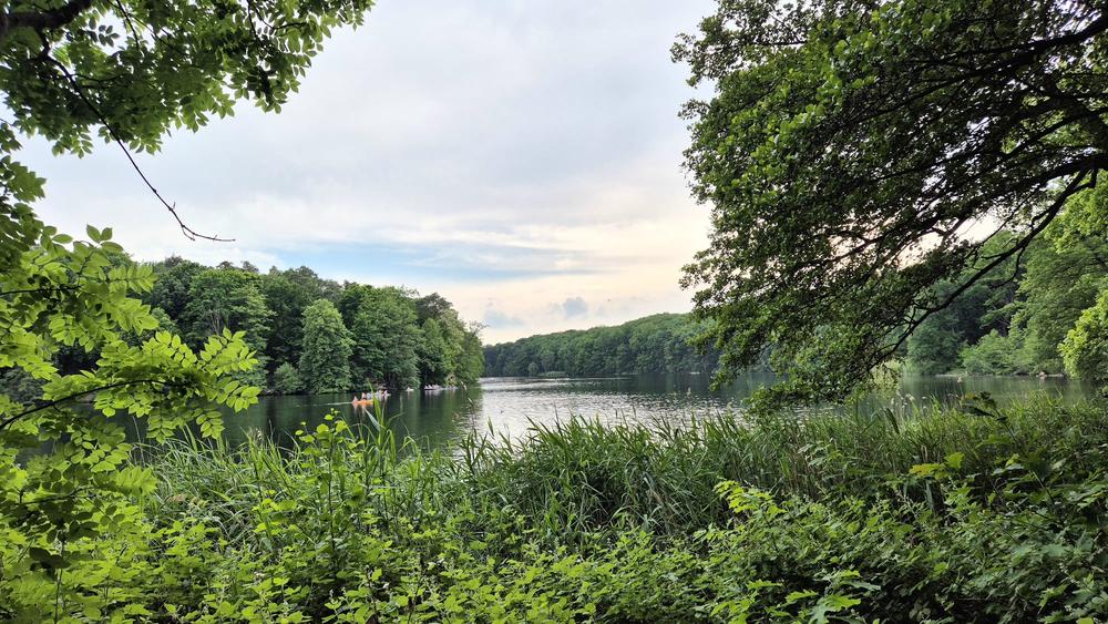 Krumme Lanke unbreathable view