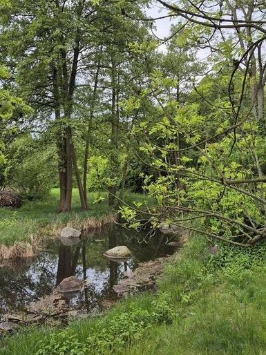 Small lake at Brizer park Berlin - a magic pleasent place