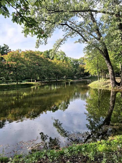 Small lake at Tiergarten Berlin