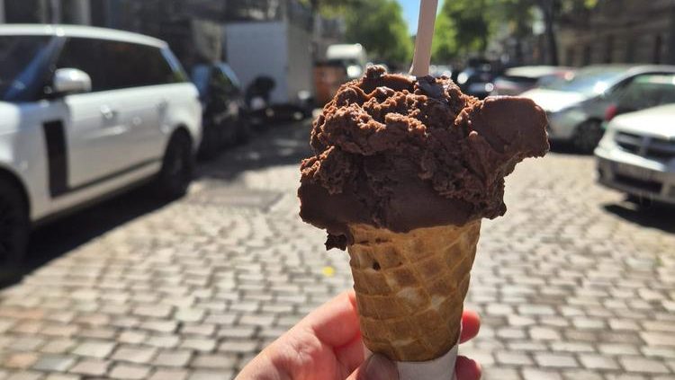 Vegan ice cream in berlin