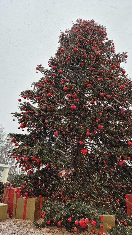 Christmas in Berlin in winter