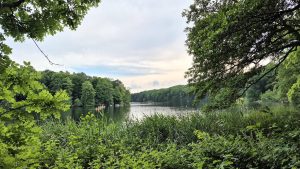 Refresh dips in Berlin