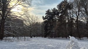 What to do in Berlin in cold days - cover photo of Snow days in Berlin