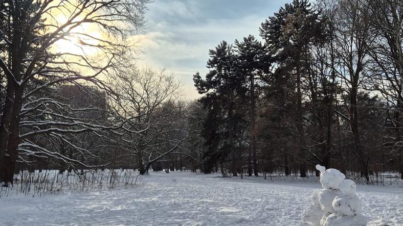 What to do in Berlin in cold days - cover photo of Snow days in Berlin